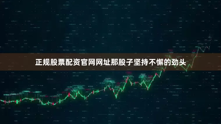 正规股票配资官网网址那股子坚持不懈的劲头