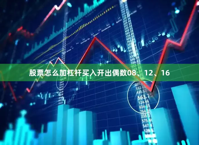 股票怎么加杠杆买入开出偶数08、12、16