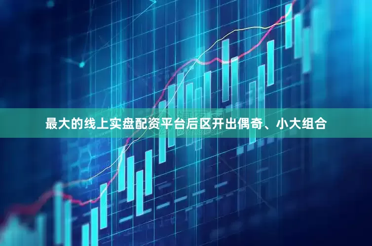 最大的线上实盘配资平台后区开出偶奇、小大组合