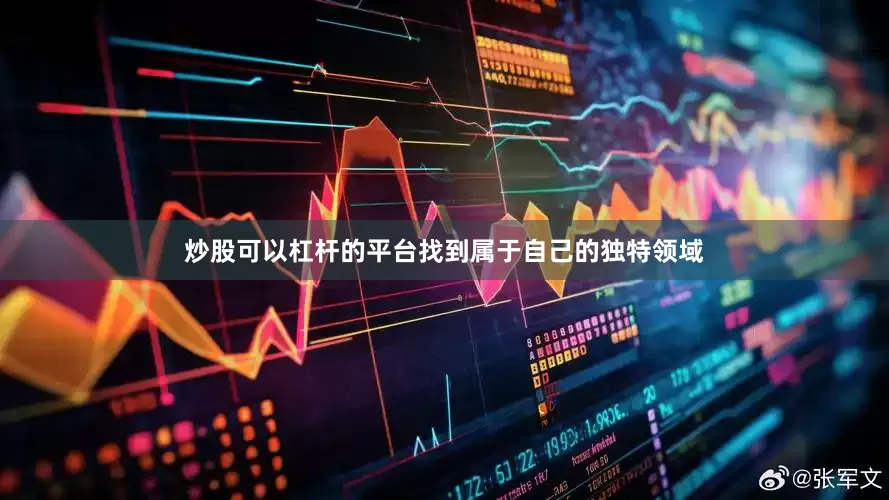 炒股可以杠杆的平台找到属于自己的独特领域